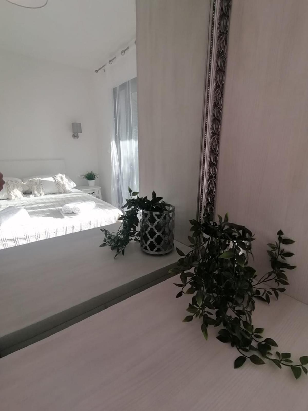 וודיצה Apartmani Zoric חדר תמונה